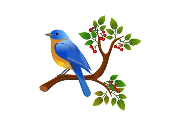 Evaluating the Use of Floral Frame Designs with Colorful Bird Imagery