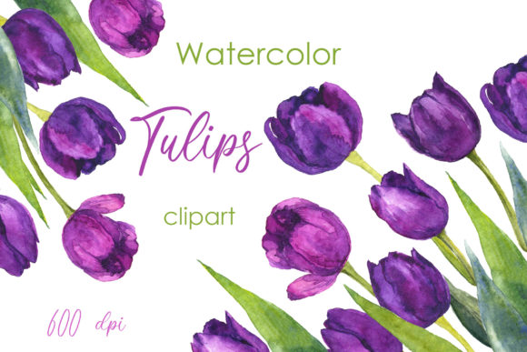 Purple Tulip Postcards: Watercolor Clipart for Creative Projects